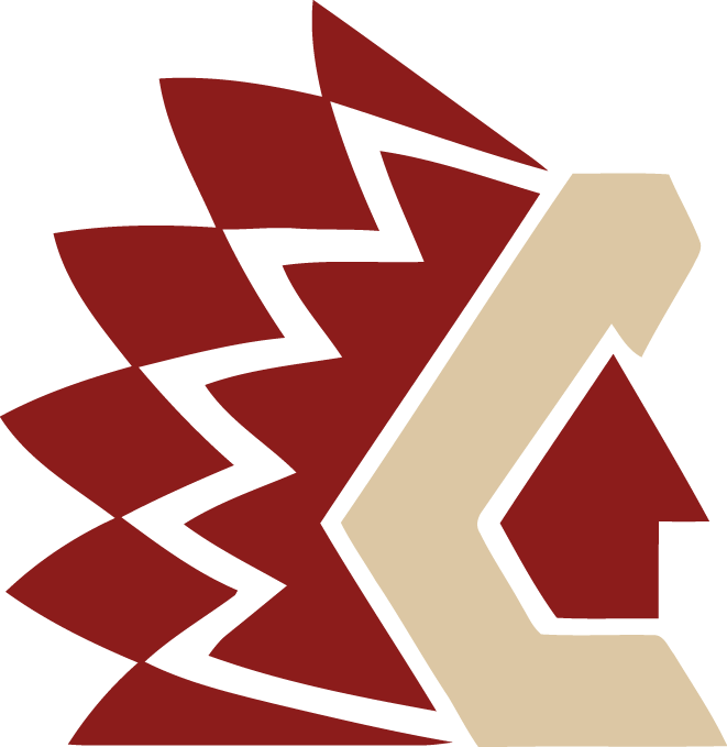 Chilliwack Chiefs 2011-Pres Alternate Logo iron on heat transfer